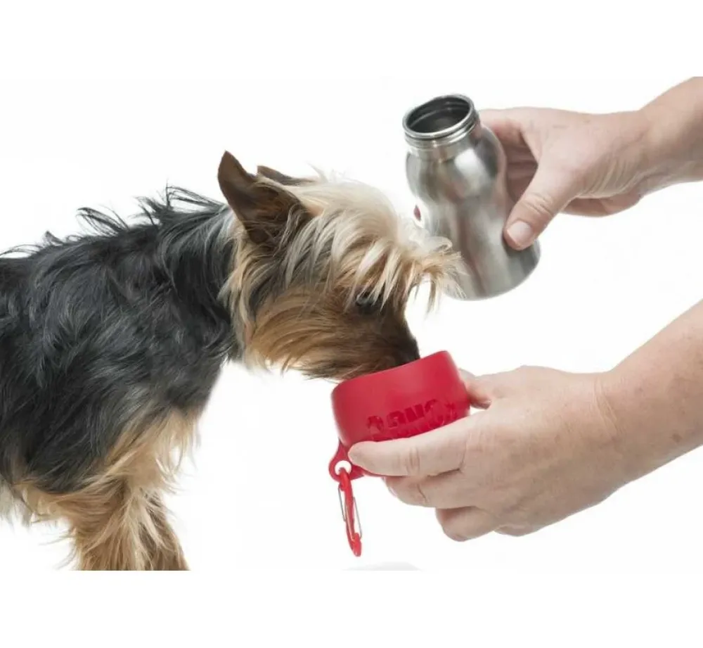 Kong Waterfles Rood- Voerbak En Drinkbak