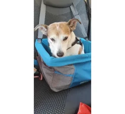 Kurgo Honden Autostoel Grijs- Honden Autostoel