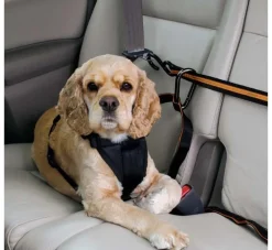 Kurgo Veiligheidsriem- Autogordel Hond