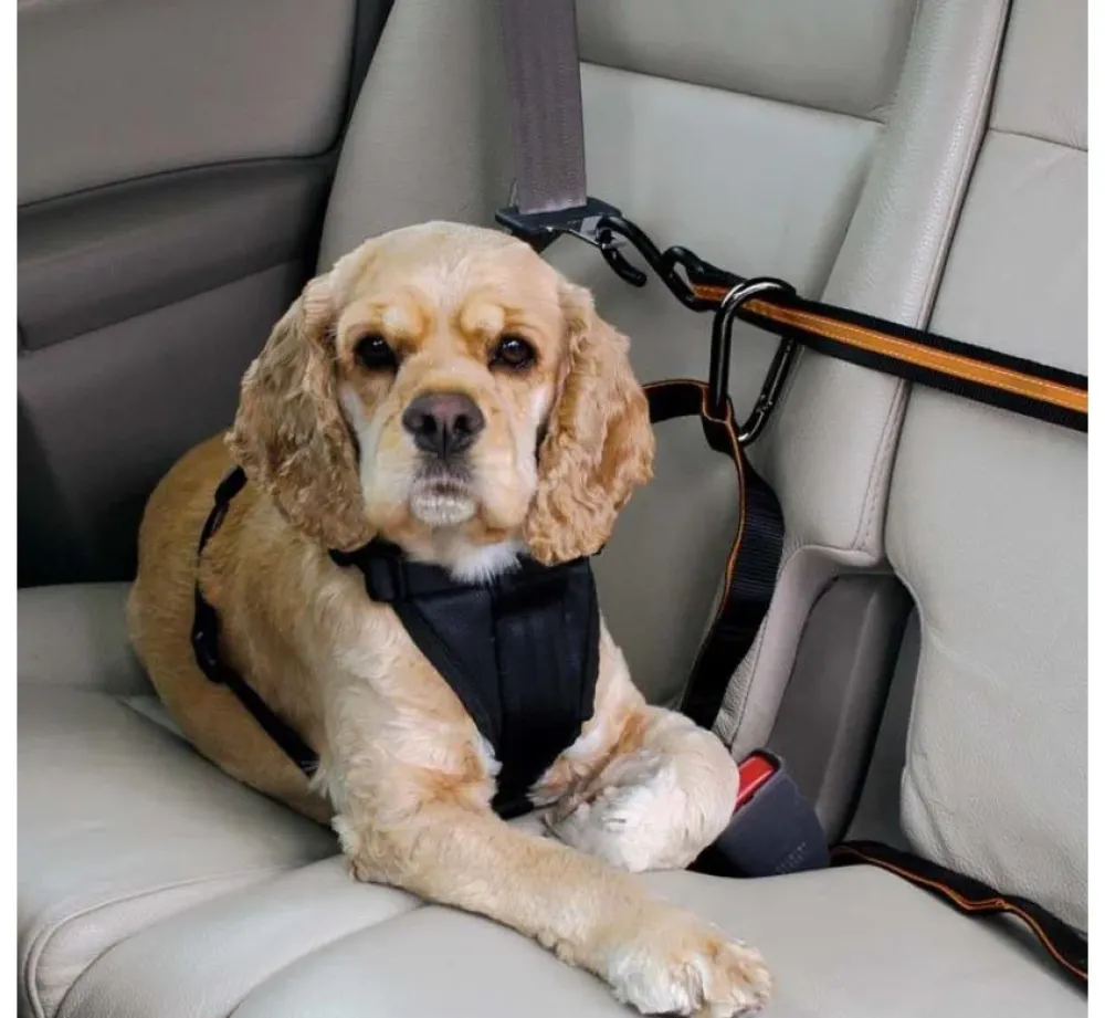 Kurgo Veiligheidsriem- Autogordel Hond