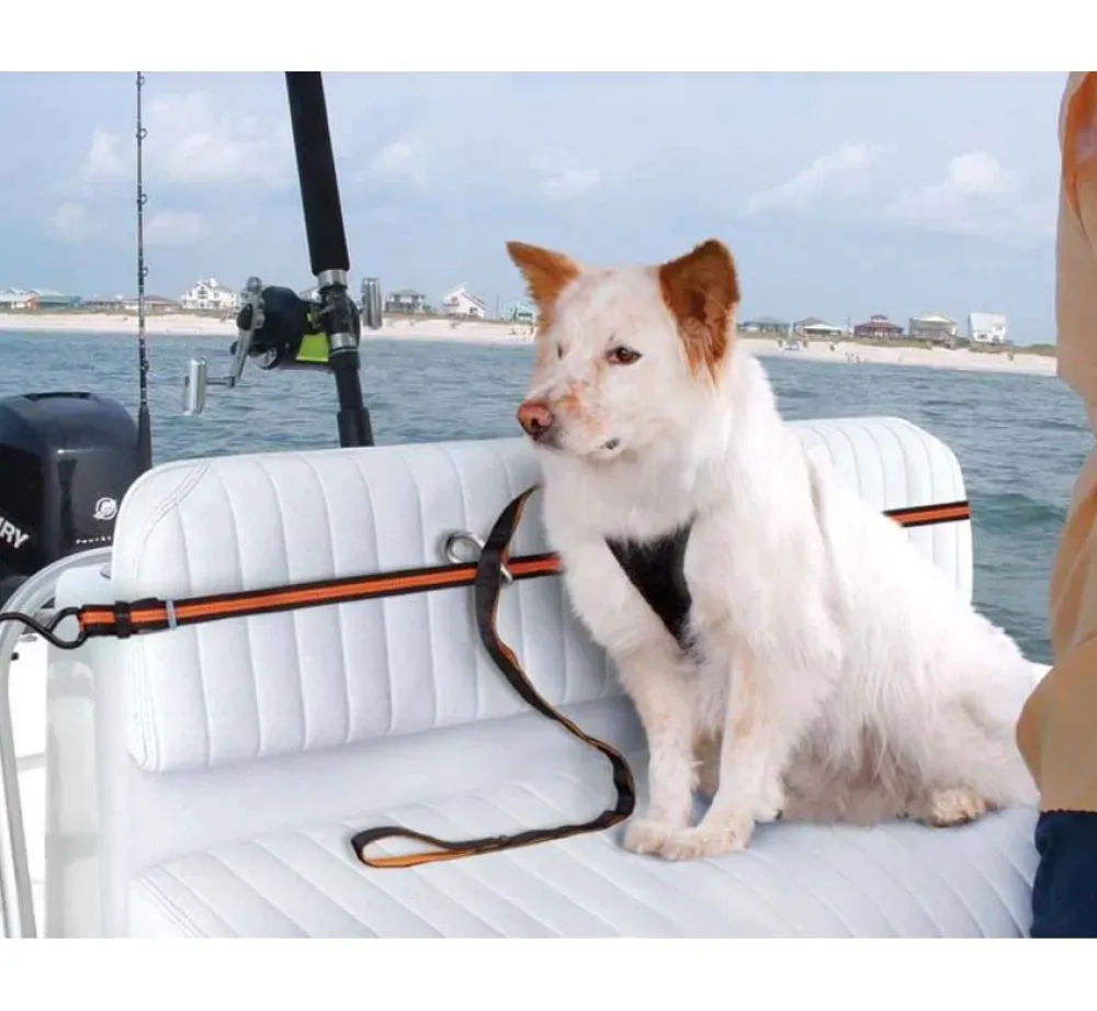 Kurgo Veiligheidsriem- Autogordel Hond