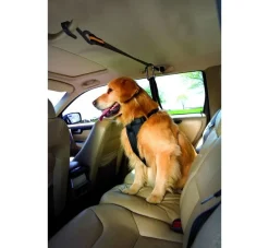 Kurgo Veiligheidsriem- Autogordel Hond