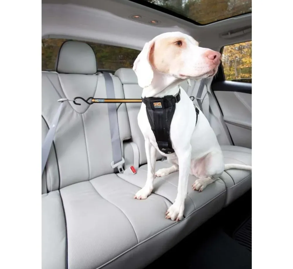 Kurgo Veiligheidsriem- Autogordel Hond