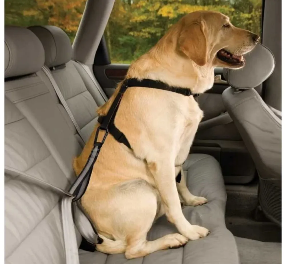 Kurgo Veiligheidsriem Seat Belt Loop- Autogordel Hond