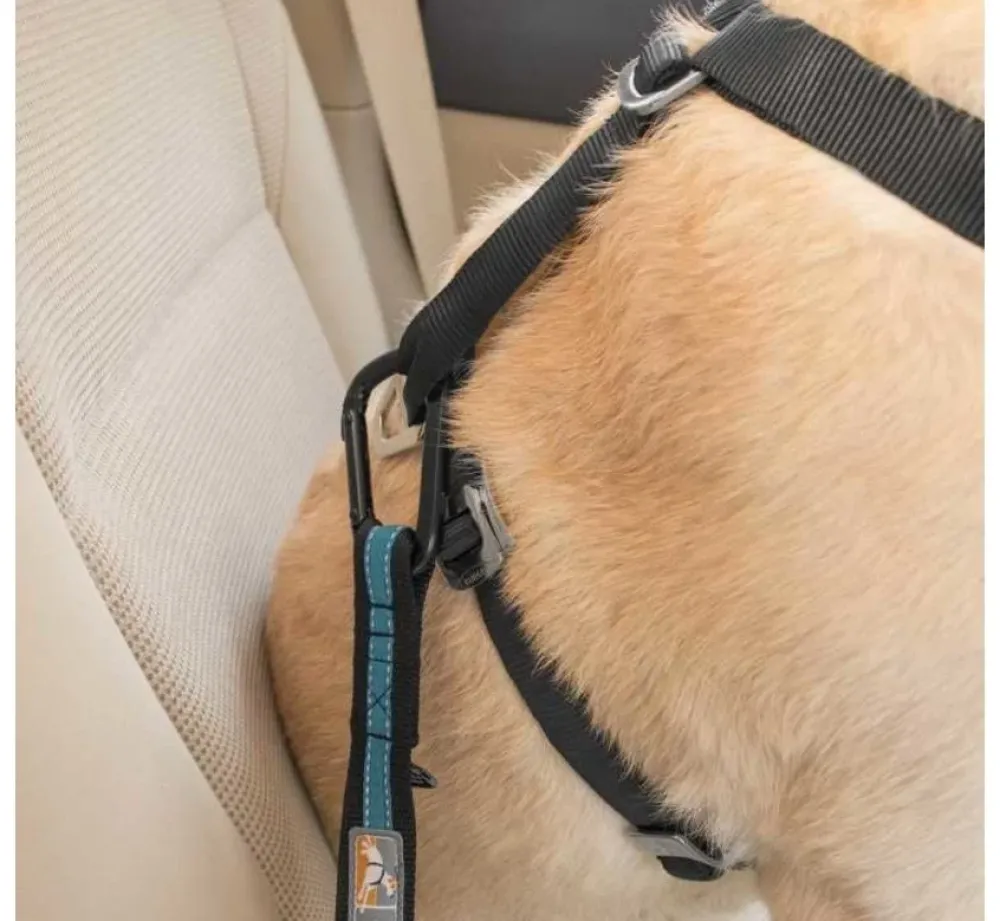 Kurgo Veiligheidsriem Voor Autogordel Blauw- Autogordel Hond