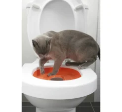 Litter Kwitter Toilet Training Systeem Voor Katten- Kattenbak