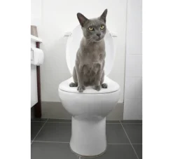 Litter Kwitter Toilet Training Systeem Voor Katten- Kattenbak