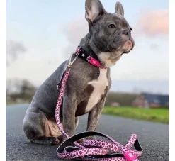 Max & Molly Hondenhalsband Leopard Pink- Hondenhalsband
