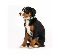Max & Molly Hondenhalsband Black Sheep- Hondenhalsband
