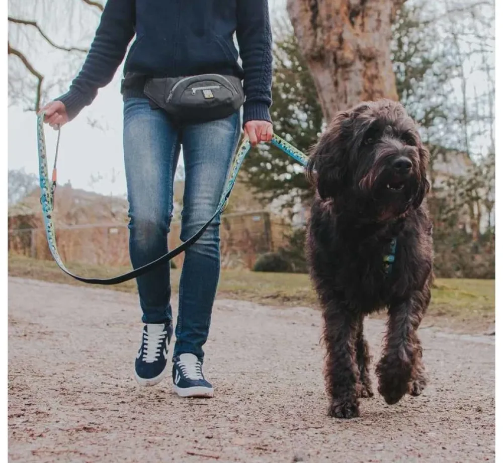 Max & Molly Hondenriem Multi Function Black Sheep- Puppy Riem
