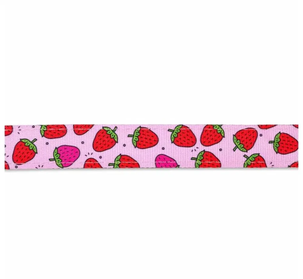 Max & Molly Hondenriem Multi Function Strawberry Dream- Puppy Riem