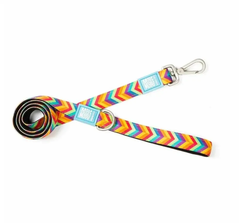 Max & Molly Hondenriem Short Leash Summertime- Puppy Riem