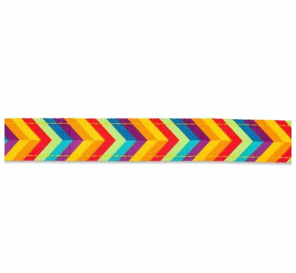 Max & Molly Hondenriem Short Leash Summertime- Puppy Riem