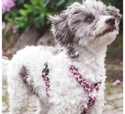 Max & Molly Hondentuig Leopard Pink- Puppy Tuig & Puppy Harnas