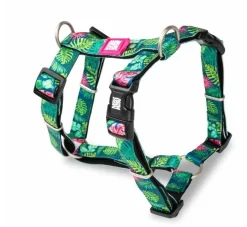 Max & Molly Hondentuig Tropical- Puppy Tuig & Puppy Harnas