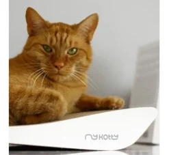 MyKotty Krabmeubel Tobi Wit- Krabmeubel