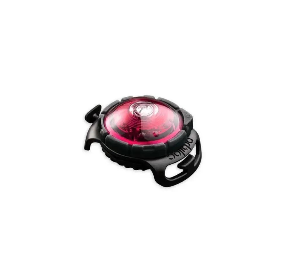 Orbiloc Dogdual Light Roze- Hondenhalsband
