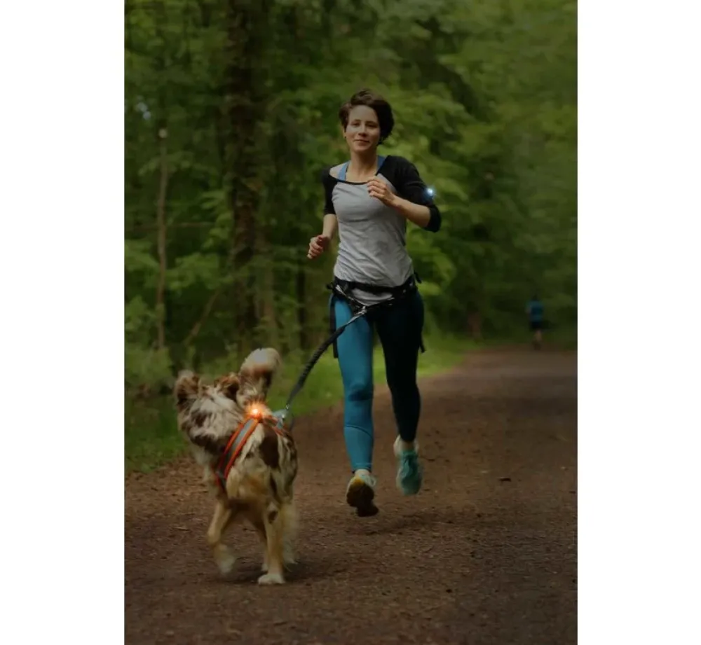 Orbiloc K9 Active Set- Hondenhalsband