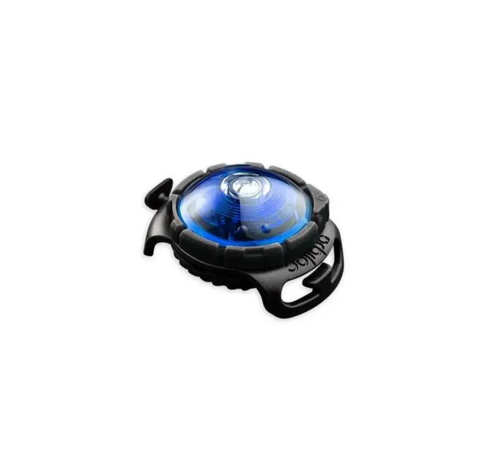 Orbiloc Veiligheidslamp Dog Dual Light Blauw- Hondenhalsband