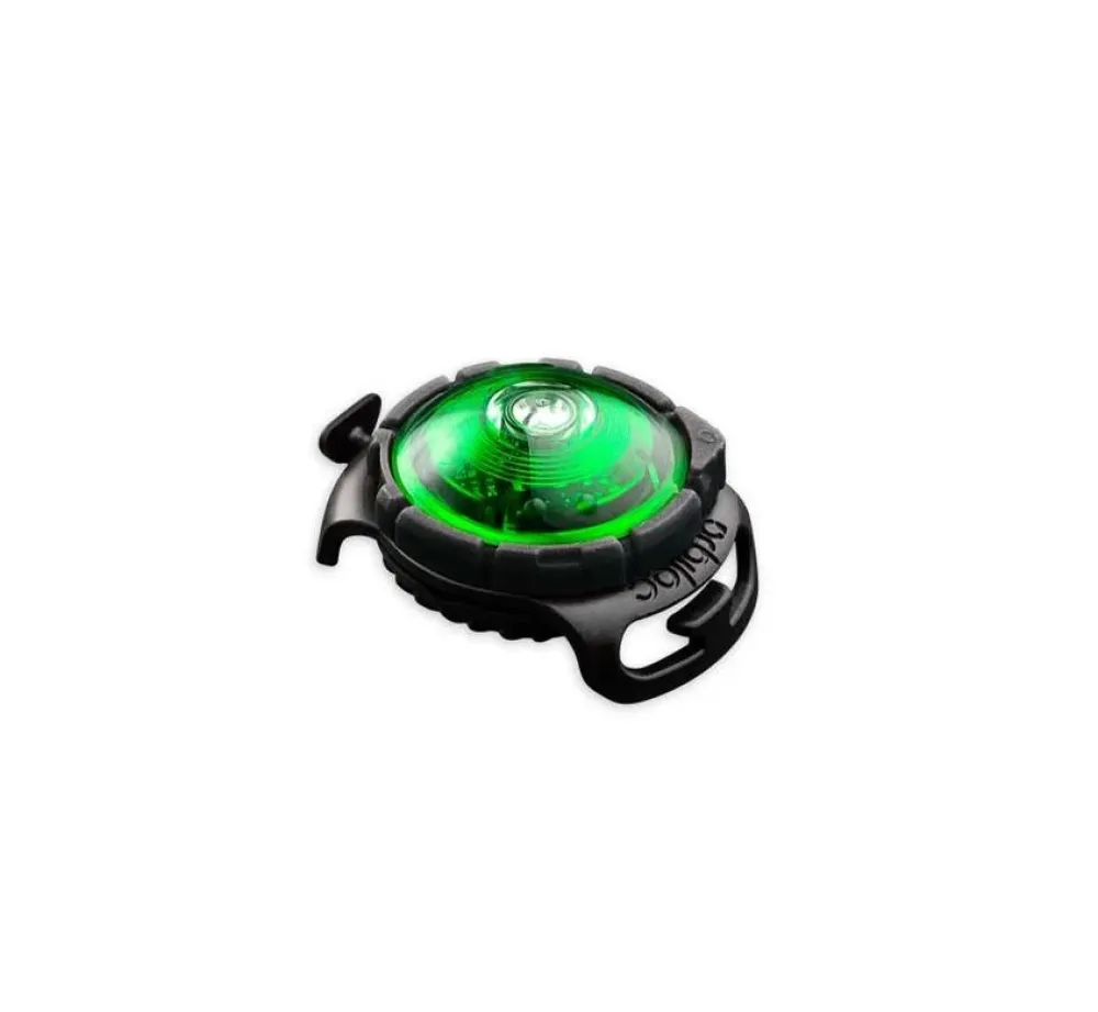 Orbiloc Veiligheidslamp Dog Dual Light Groen- Hondenhalsband