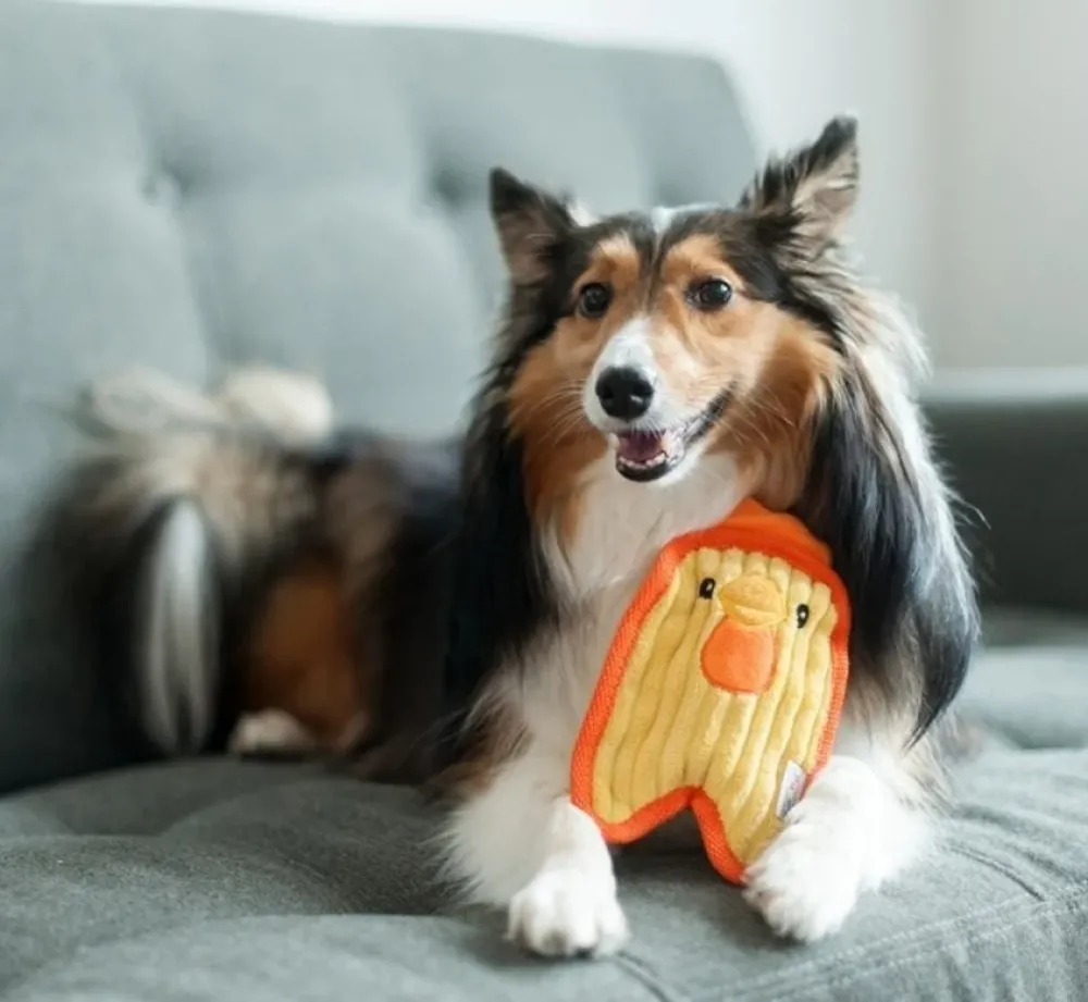 Outward Hound Hondenspeelgoed Invincibles Mini Chicky- Puppy Speelgoed