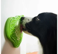 PDH Paw Lick Pad Groen- Voerbakken