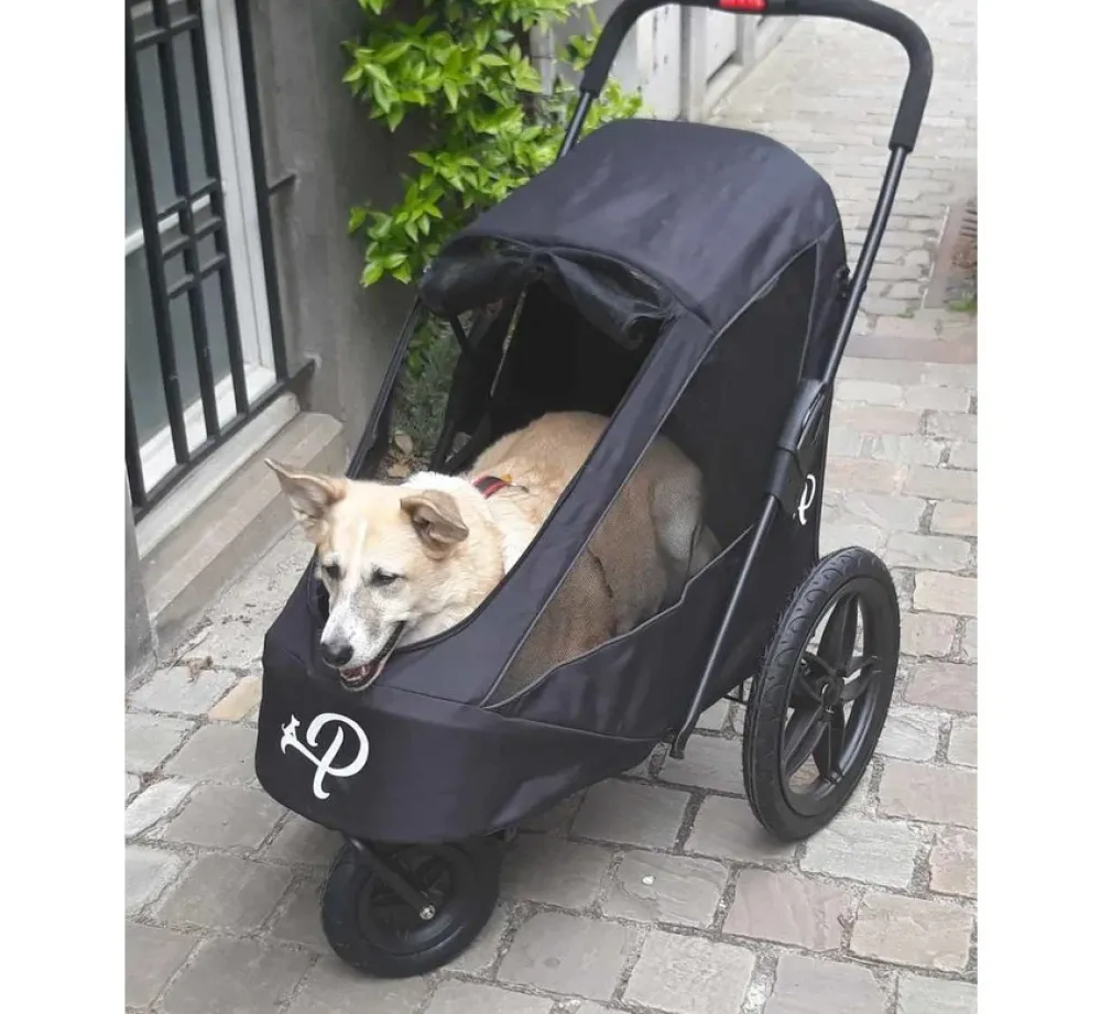Petique Hondenbuggy Breeze- Voor De Fiets