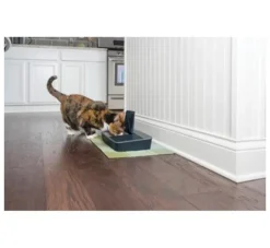 Petsafe Digitale Voerbak- Voerbakken