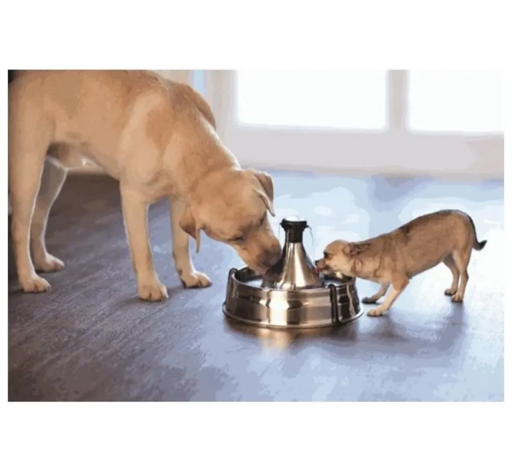Petsafe Drinkfontein Drinkwell 360 Roestvrijstaal- Voerbakken