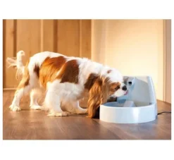 Petsafe Drinkfontein Drinkwell Original- Voerbakken
