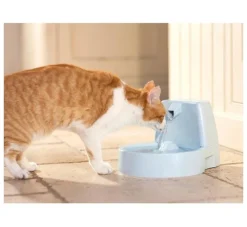 Petsafe Drinkfontein Drinkwell Original- Voerbakken