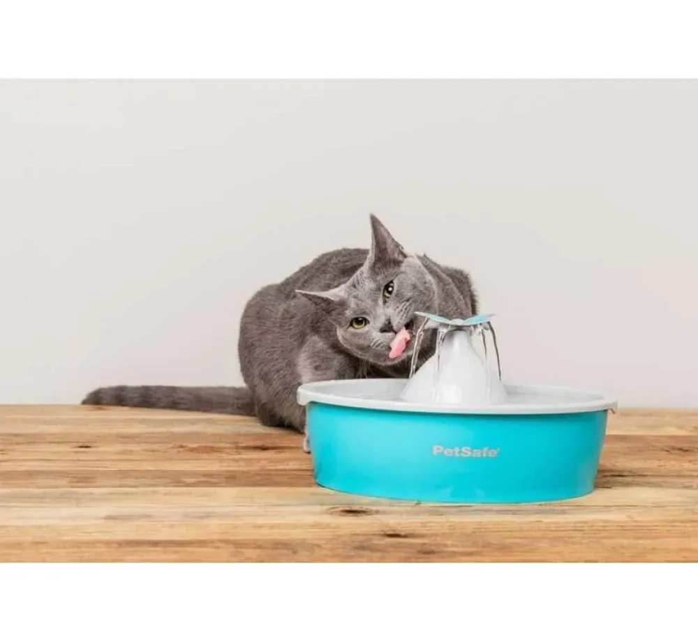 Petsafe Drinkfontein Drinkwell Butterfly- Voerbakken