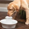 Petsafe Drinkfontein Drinkwell Avalon- Voerbakken
