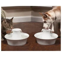 Petsafe Drinkfontein Drinkwell Avalon- Voerbakken