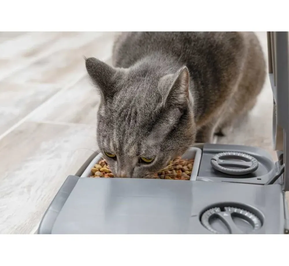 Petsafe Eatwell Dubbele Voerbak- Voerbakken