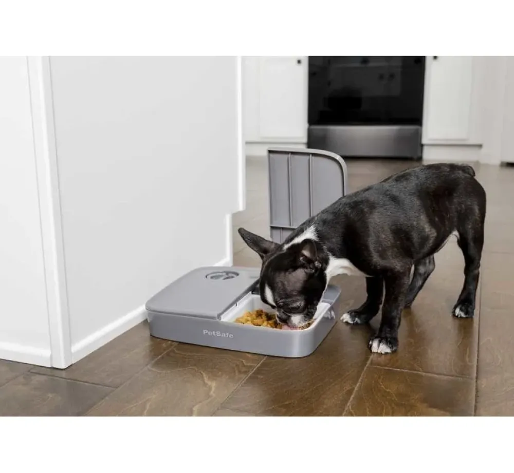 Petsafe Eatwell Dubbele Voerbak- Voerbakken
