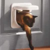 Petsafe Microchip Kattenluik Pet Porte- Kattenluik