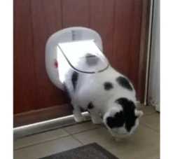 Petsafe Staywell Kattenluik Voor Grote Katten- Kattenluik