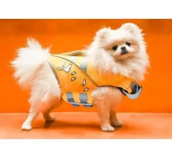 Petsochic Hondenzwemvest Geel- Voor De Boot
