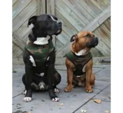 Puppia Hondentuig Soft Harness Camouflage- Puppy Tuig & Puppy Harnas