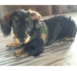 Puppia Hondentuig Soft Vest Camouflage- Puppy Tuig & Puppy Harnas