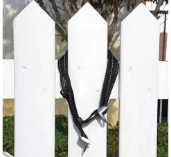 Rogz Hondenhalsband Safety Zwart- Hondenhalsband