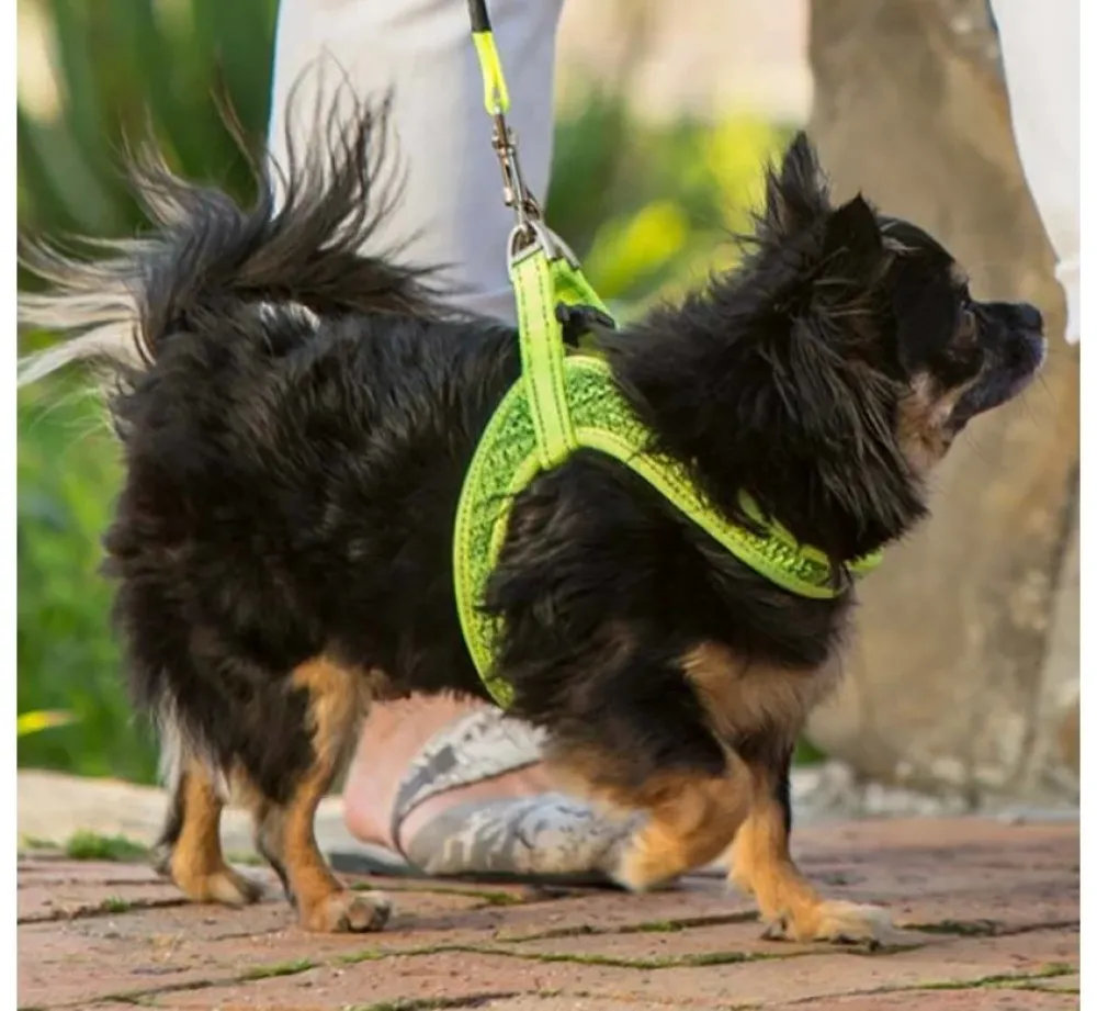 Rogz Hondentuig Fast Fit Geel- Puppy Tuig & Puppy Harnas
