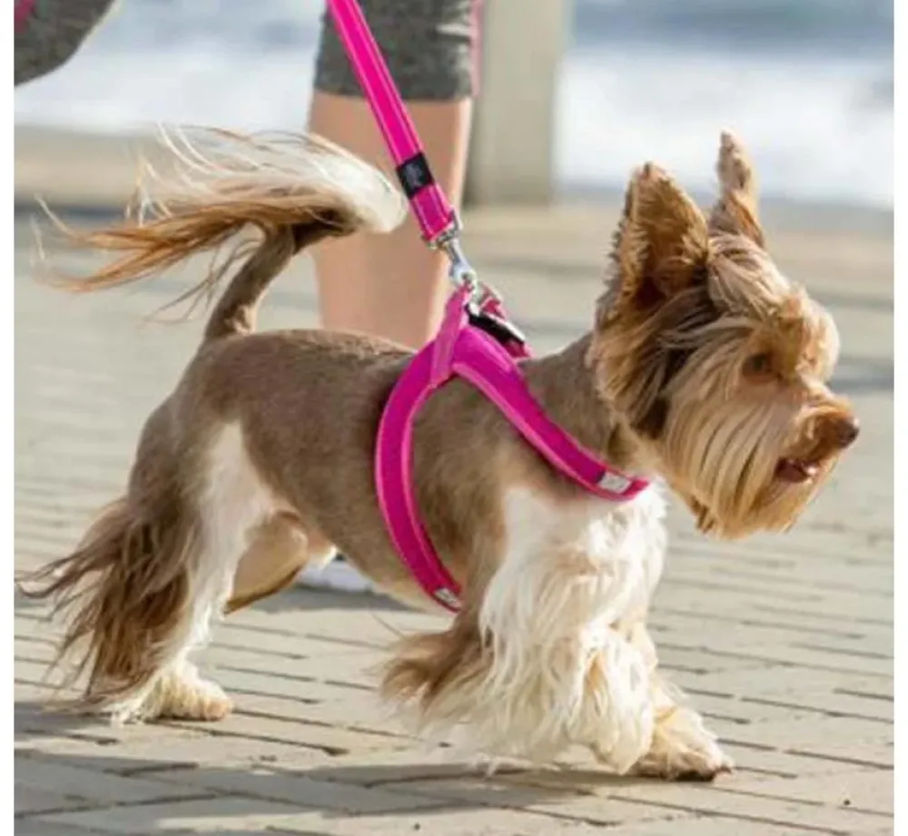Rogz Hondentuig Fast Fit Roze- Puppy Tuig & Puppy Harnas