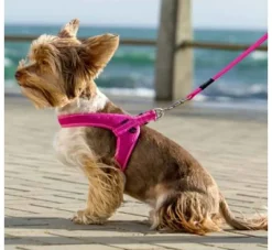 Rogz Hondentuig Fast Fit Roze- Puppy Tuig & Puppy Harnas