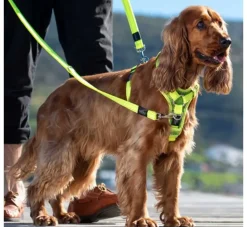 Rogz Hondentuig Utility Control Geel- Puppy Tuig & Puppy Harnas