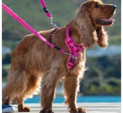 Rogz Hondentuig Utility Control Roze- Puppy Tuig & Puppy Harnas