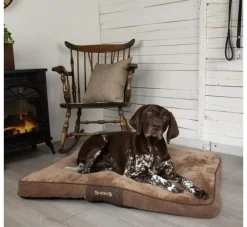 Scruffs Hondenkussen Chester Chocolate- Hondenkussen