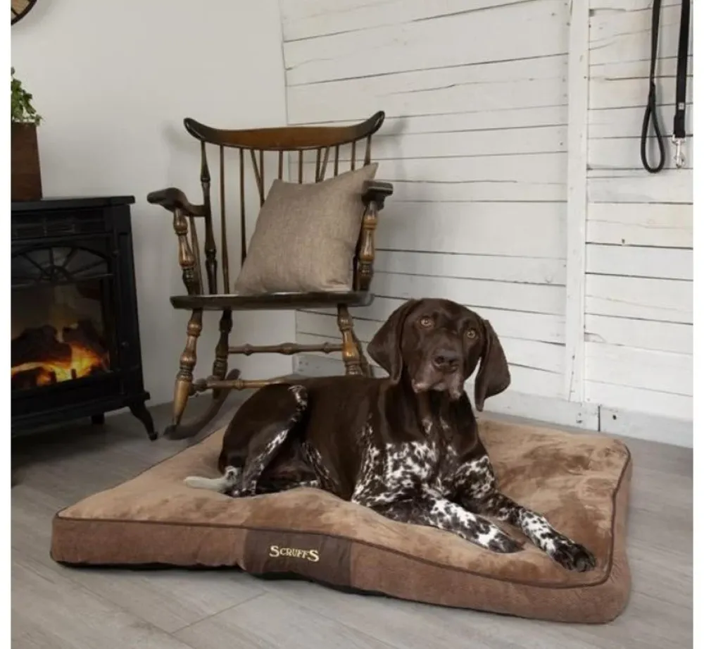 Scruffs Hondenkussen Chester Chocolate- Hondenkussen