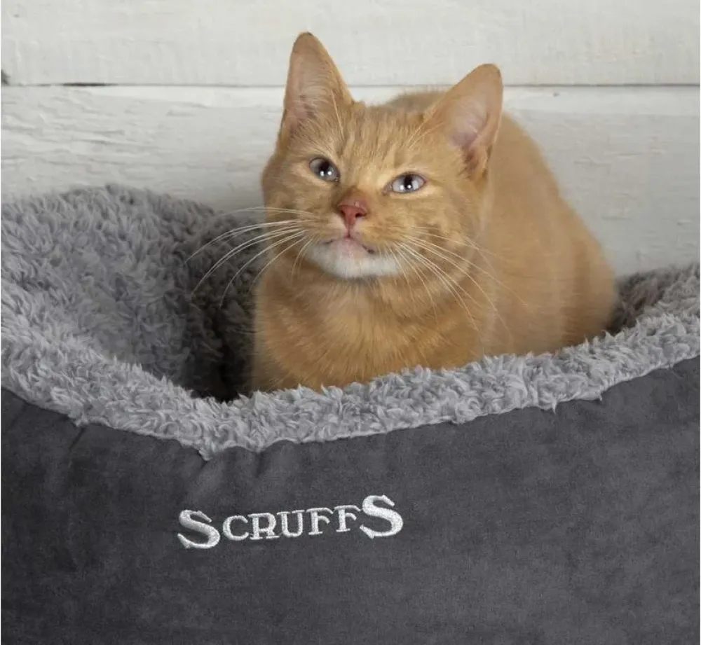 Scruffs Kattenmand Cosy- Kattenmand